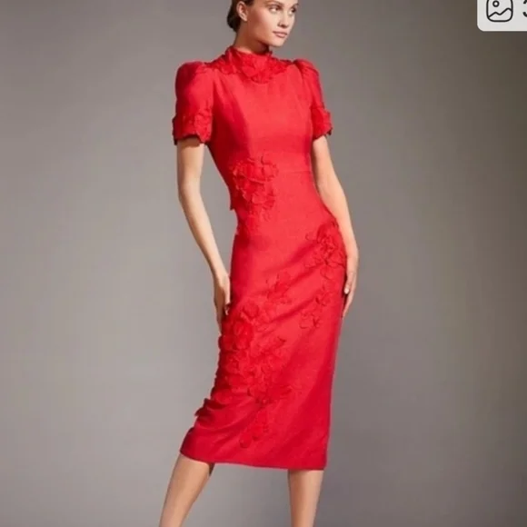 NWT Antonio Melani Summer Floral Applique Midi Dress Sz 10 - Picture 4 of 14